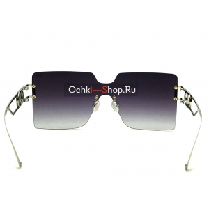 Очки Dior STELLAIRE0203S CATNO. 6