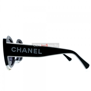 Очки Chanel CH9091 S1693 